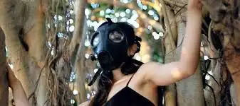 15. LIFE DE COMO LOS ARBOLES